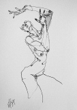 Plume 3 - Nus /plume et encre de Chine.