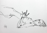 Plume 4 - Nus /plume et encre de Chine.