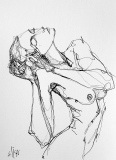 Lise - Nus /plume et encre de Chine.