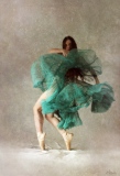 Flamenco - Sauts de Chats...